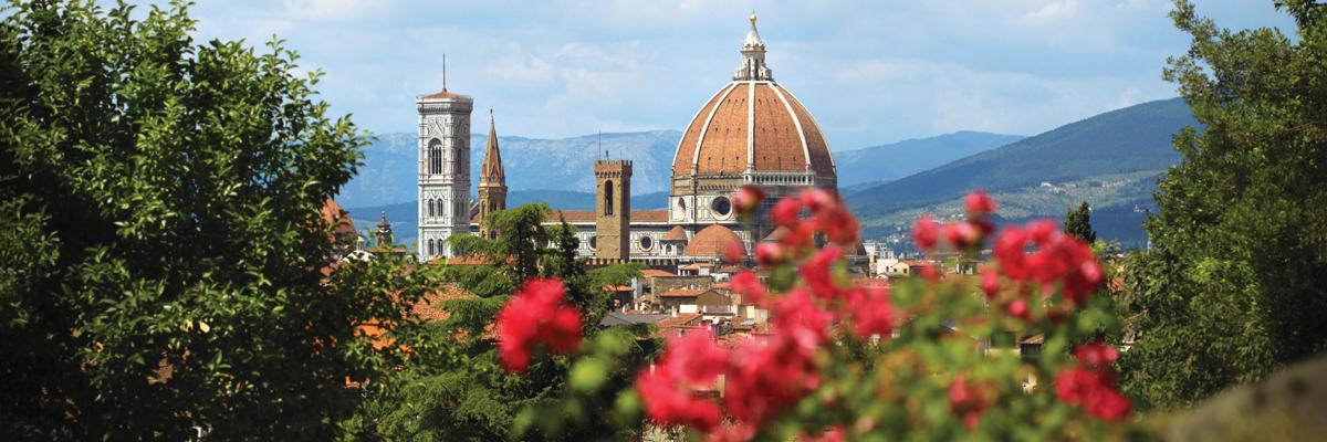 Wave Offer "Upgrade Your Experience" - background banner