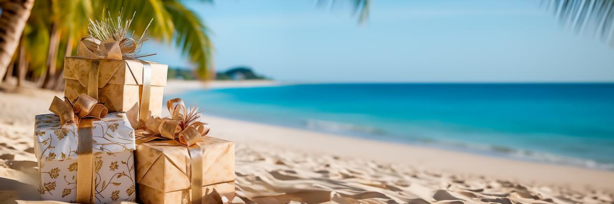 Holiday Vacation Deals - background banner