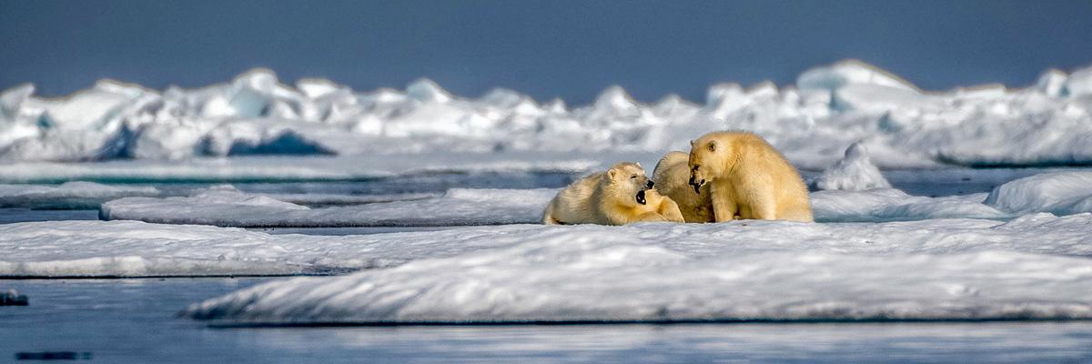 Meilleures offres et promotions - background banner