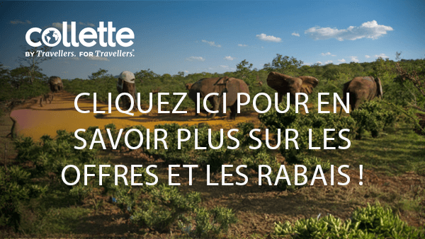 ad-economisez-jusqua-1-300-par-couple-sur-le-circuit-cape-town-to-cairo-de-collette